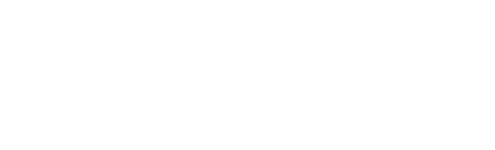 Z8BR
